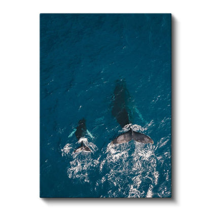 Okyanus Balinaları - Mavi Derinliklerde Yüzen İkili Kanvas Tablo
