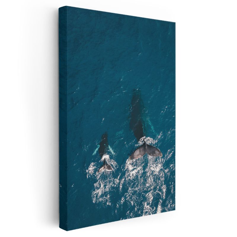 Okyanus Balinaları - Mavi Derinliklerde Yüzen İkili Kanvas Tablo