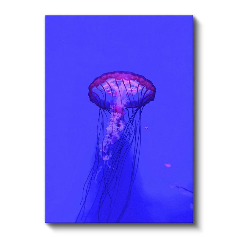 Mor Denizanası - Mavi Suda Dans Eden Şeffaf Güzellik Kanvas Tablo