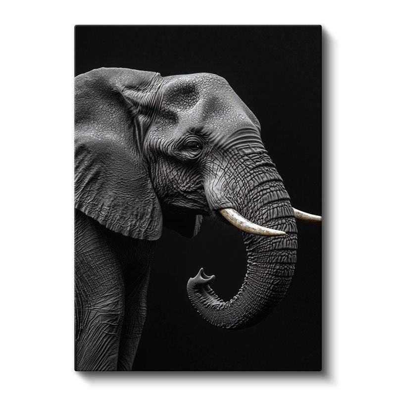 Asil Fil - Siyah Beyaz Detaylı Portre Kanvas Tablo