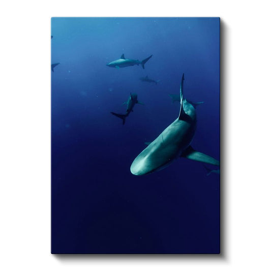 Köpekbalığı Sürüsü - Derin Mavide Yüzen Avcılar Kanvas Tablo