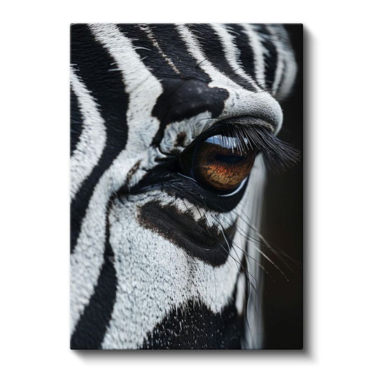 Zebra Gözü - Siyah Beyaz Desenlerde Kahverengi Bakış Kanvas Tablo