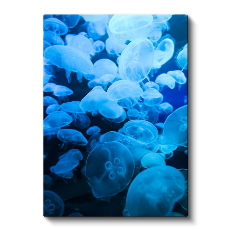 Mavi Denizanaları - Derin Sularda Dans Eden Şeffaf Topluluk Kanvas Tablo