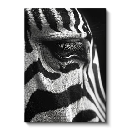 Zebra Gözü - Siyah Beyaz Desenlerde Keskin Bakış Kanvas Tablo