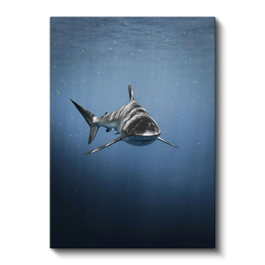 Okyanus Köpekbalığı - Mavi Derinliklerde Yüzen Avcı Kanvas Tablo