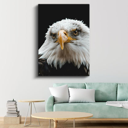 Amerikan Kartalı - Siyah Zeminde Keskin Bakışlı Portre Kanvas Tablo