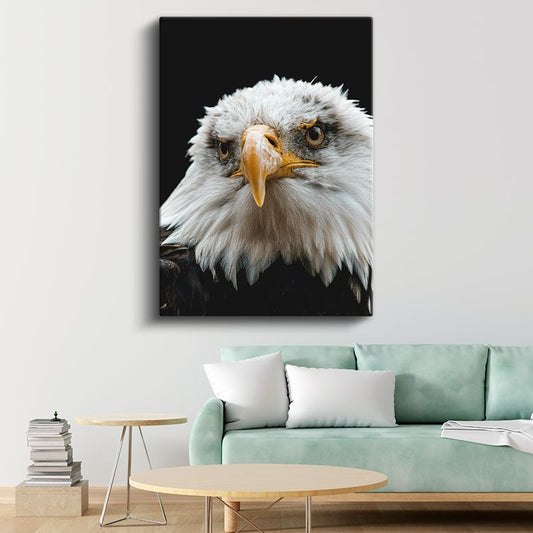 Amerikan Kartalı - Siyah Zeminde Keskin Bakışlı Portre Kanvas Tablo