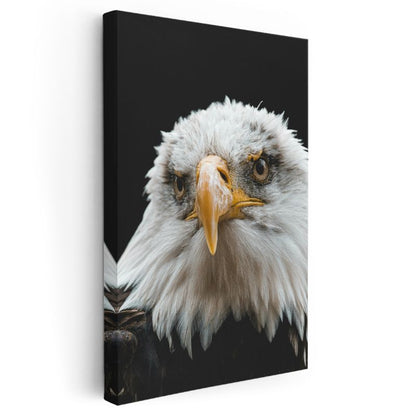 Amerikan Kartalı - Siyah Zeminde Keskin Bakışlı Portre Kanvas Tablo