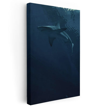 Derin Köpekbalığı - Karanlık Sularda Sessiz Yüzüş Kanvas Tablo