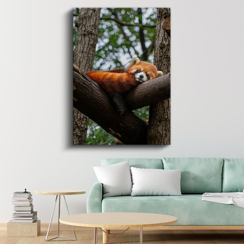 Kızıl Panda - Ağaç Dalında Huzurlu Uyku Kanvas Tablo