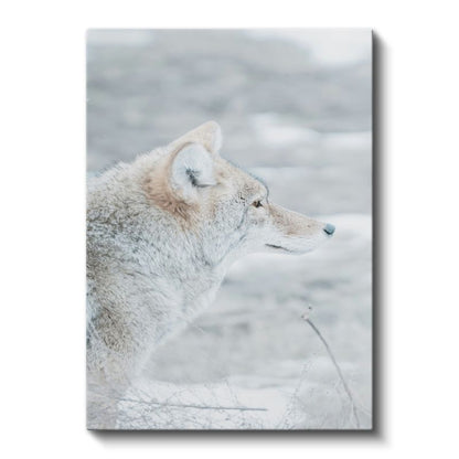Kutup Tilkisi - Karlı Manzarada Beyaz Tüylü Bakış Kanvas Tablo