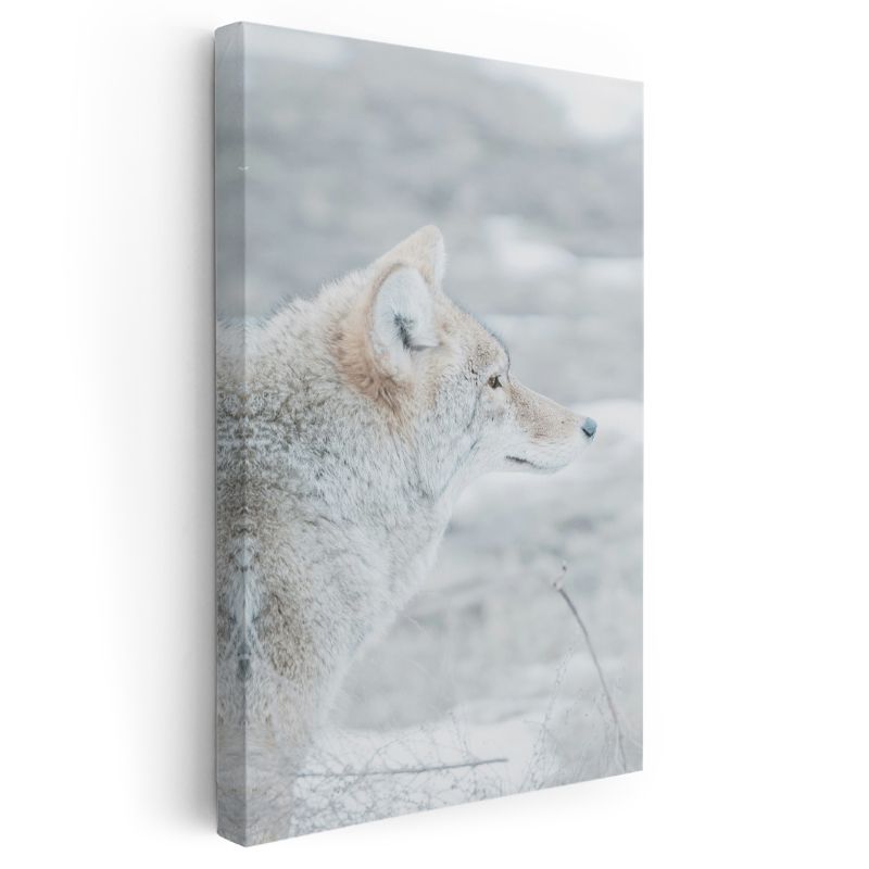 Kutup Tilkisi - Karlı Manzarada Beyaz Tüylü Bakış Kanvas Tablo