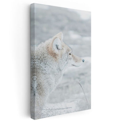 Kutup Tilkisi - Karlı Manzarada Beyaz Tüylü Bakış Kanvas Tablo