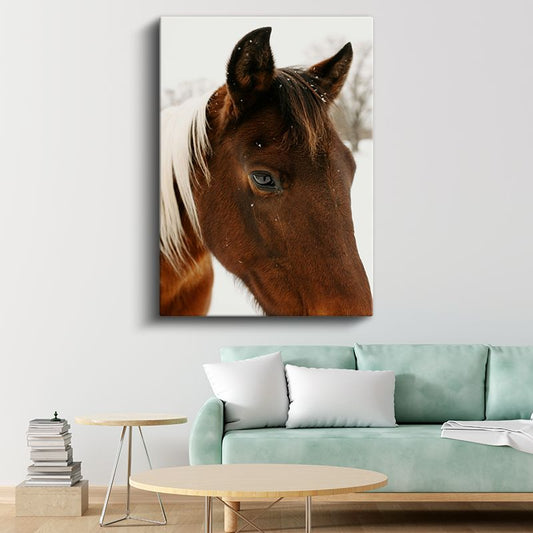 Kahverengi At - Karlı Ortamda Yakın Çekim Portre Kanvas Tablo