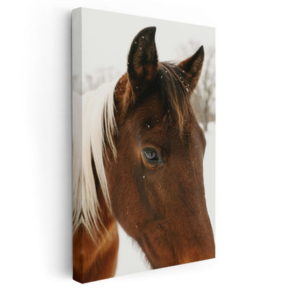 Kahverengi At - Karlı Ortamda Yakın Çekim Portre Kanvas Tablo