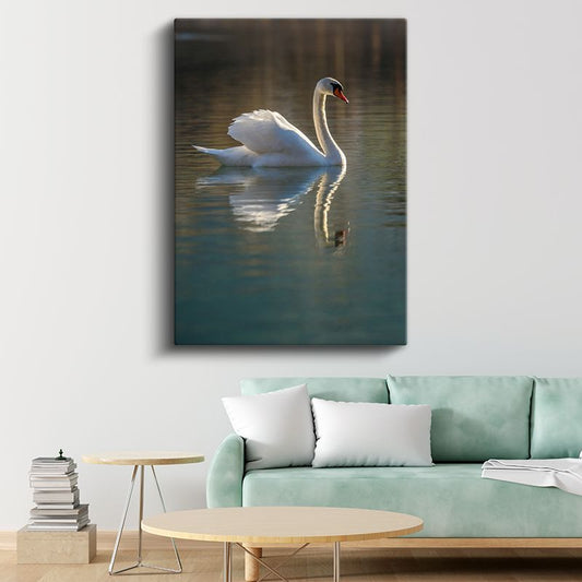 Zarif Kuğu - Sakin Suda Yansımalı Yüzüş Kanvas Tablo