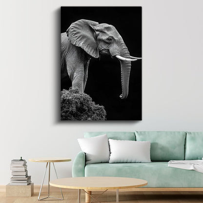 Asil Fil - Siyah Beyaz Detaylı Portre Kanvas Tablo