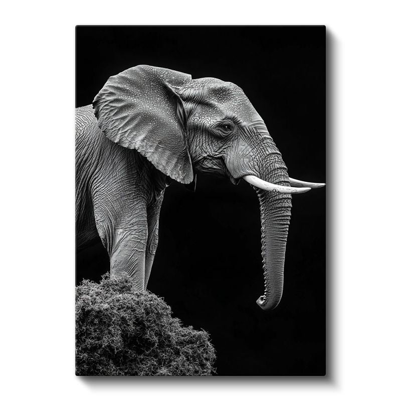 Asil Fil - Siyah Beyaz Detaylı Portre Kanvas Tablo
