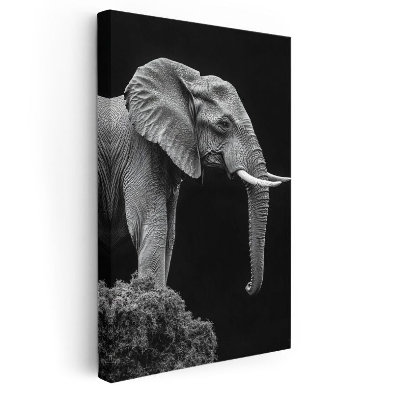 Asil Fil - Siyah Beyaz Detaylı Portre Kanvas Tablo