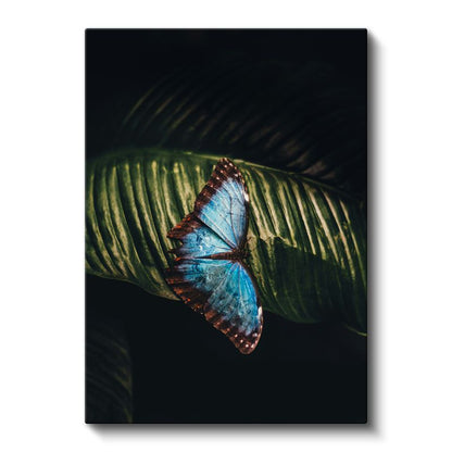 Mavi Kelebek Zarafeti - Yaprak Üzerinde Dinlenen Nadir Güzellik Kanvas Tablo