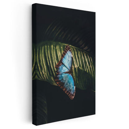 Mavi Kelebek Zarafeti - Yaprak Üzerinde Dinlenen Nadir Güzellik Kanvas Tablo
