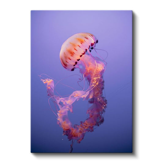 Pembe Denizanası - Mor Sularda Süzülen Narin Deniz Canlısı Kanvas Tablo