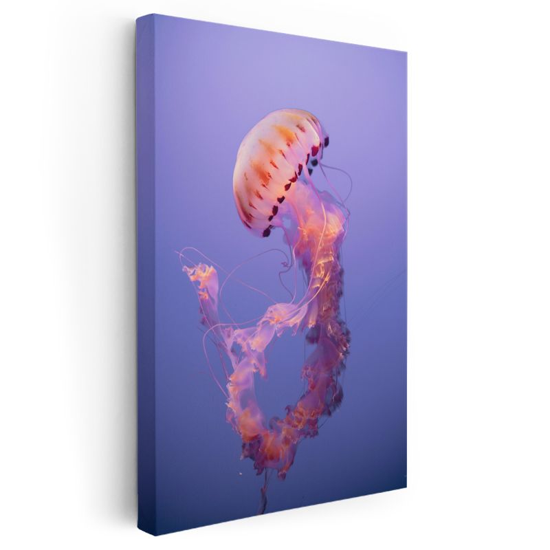 Pembe Denizanası - Mor Sularda Süzülen Narin Deniz Canlısı Kanvas Tablo