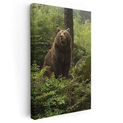 Ormanın Bekçisi Ayı - Doğal Yaşam Alanında Heybetli Boz Ayı Kanvas Tablo