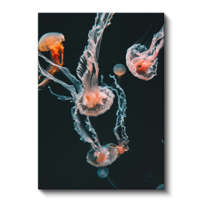 Derin Sular Denizanaları - Karanlıkta Dans Eden Şeffaf Güzellikler Kanvas Tablo
