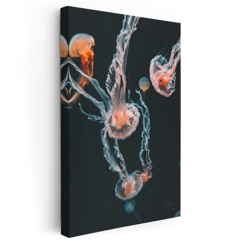 Derin Sular Denizanaları - Karanlıkta Dans Eden Şeffaf Güzellikler Kanvas Tablo
