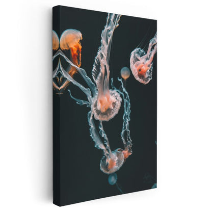 Derin Sular Denizanaları - Karanlıkta Dans Eden Şeffaf Güzellikler Kanvas Tablo