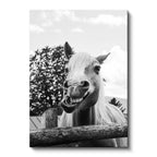 Dikey Kanvas Tablo Sempatik Yüz İfadesi At Tablosu Ev Ofis Duvar Dekoru