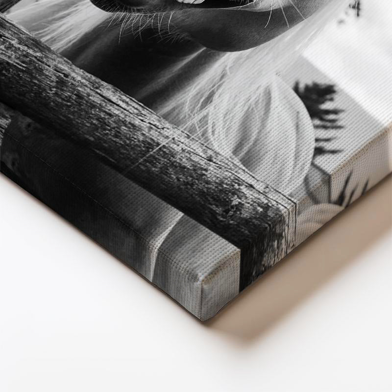 Dikey Kanvas Tablo Sempatik Yüz İfadesi At Tablosu Ev Ofis Duvar Dekoru