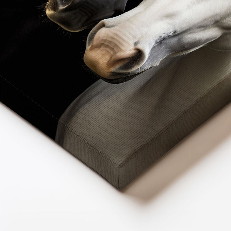 Dikey Kanvas Tablo Zıt Tonlu İkili At Tablosu Ev Ofis Duvar Dekoru