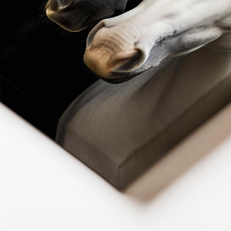 Dikey Kanvas Tablo Zıt Tonlu İkili At Tablosu Ev Ofis Duvar Dekoru