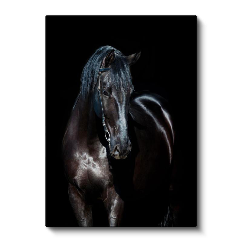 Dikey Kanvas Tablo Parlak Tüylü At Tablosu Ev Ofis Duvar Dekoru