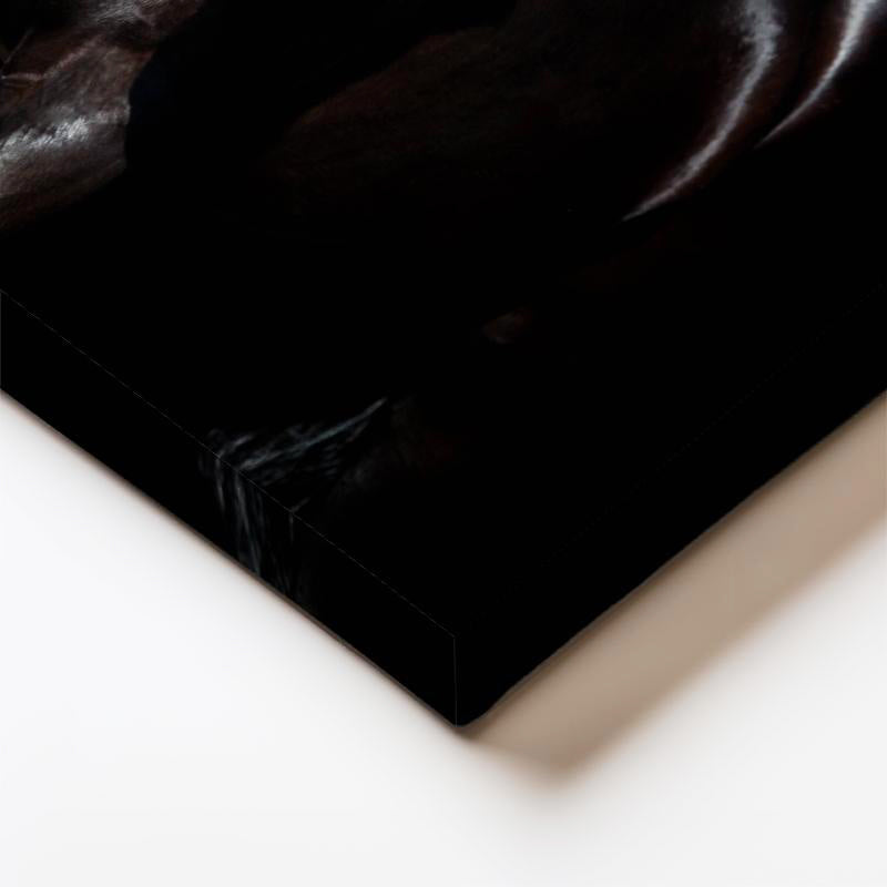 Dikey Kanvas Tablo Parlak Tüylü At Tablosu Ev Ofis Duvar Dekoru