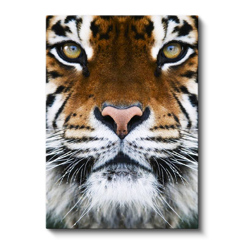 Dikey Kanvas Tablo Simetrik Yüz Detay Kaplan Tablosu Ev Ofis Duvar Dekoru