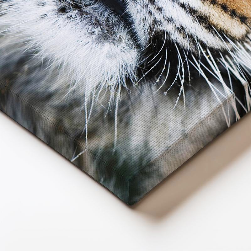 Dikey Kanvas Tablo Simetrik Yüz Detay Kaplan Tablosu Ev Ofis Duvar Dekoru