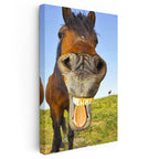 Dikey Kanvas Tablo Balık Gözü Efektli At Tablosu Ev Ofis Duvar Dekoru