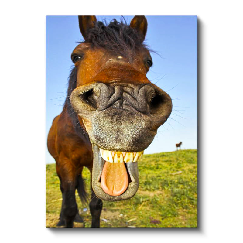 Dikey Kanvas Tablo Balık Gözü Efektli At Tablosu Ev Ofis Duvar Dekoru