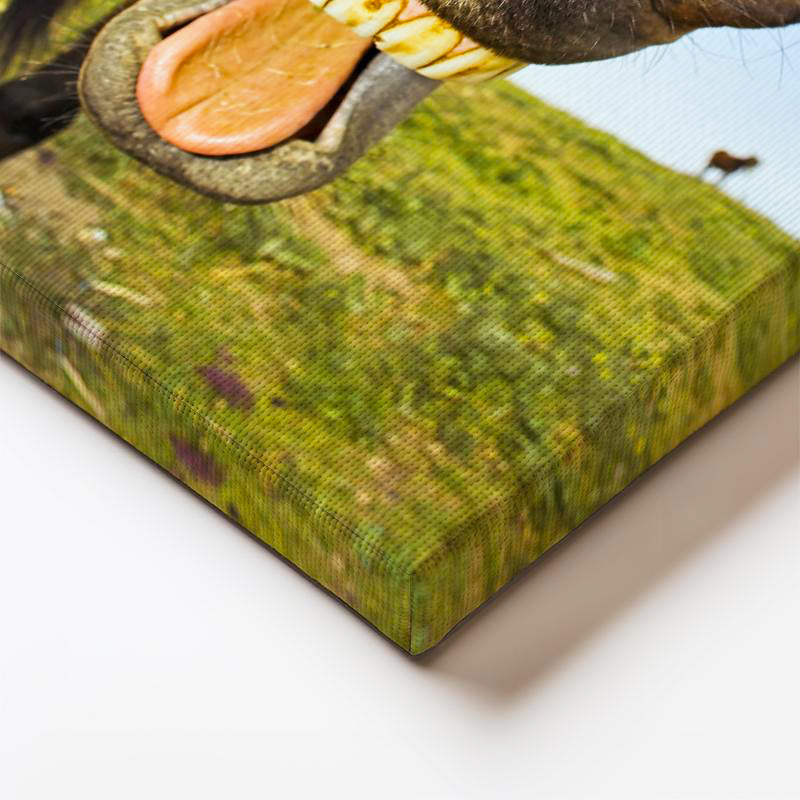 Dikey Kanvas Tablo Balık Gözü Efektli At Tablosu Ev Ofis Duvar Dekoru