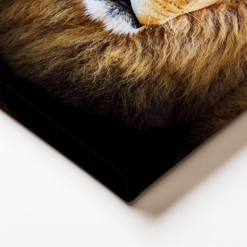 Dikey Kanvas Tablo Simetrik Yüz Hatlı Aslan Tablosu Ev Ofis Duvar Dekoru