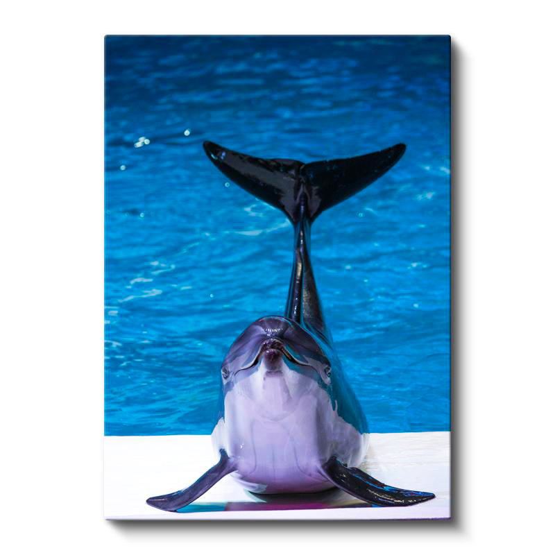 Dikey Kanvas Tablo Kuyruk Gösteren Yunus Tablosu Ev Ofis Duvar Dekoru