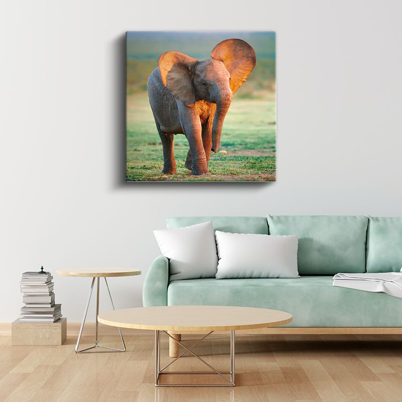 Yavru Fil - Savana Çayırlarının Sevimli Gezgini Kanvas Tablo