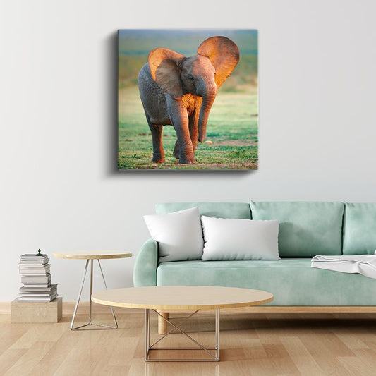 Yavru Fil - Savana Çayırlarının Sevimli Gezgini Kanvas Tablo