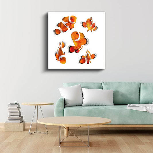 Turuncu Palyaço Balıkları - Okyanus Yıldızlarının Dans Koreografisi Kanvas Tablo