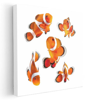 Turuncu Palyaço Balıkları - Okyanus Yıldızlarının Dans Koreografisi Kanvas Tablo