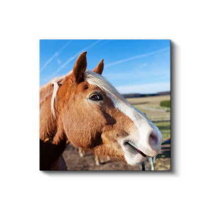 At Portresi - Çiftliğin Asil Yoldaşı Kanvas Tablo