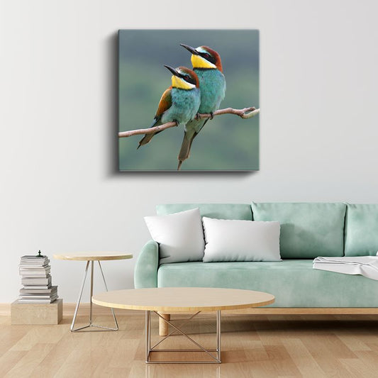 Renkli Arıkuşları - Dal Üzerinde Bekleyen İkili Kanvas Tablo